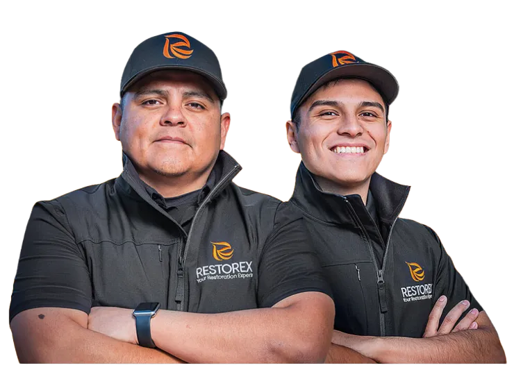 RestoreX Professional Team
